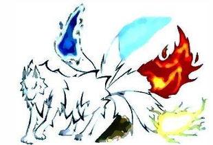 火影五尾爆料视频下载,火影世界新篇章的序幕